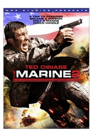 The Marine 2