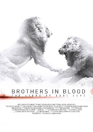 Brothers in Blood: The Lions of Sabi Sand